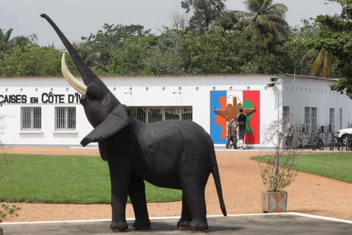 Populasi Gajah di Pantai Gading Menurun Drastis