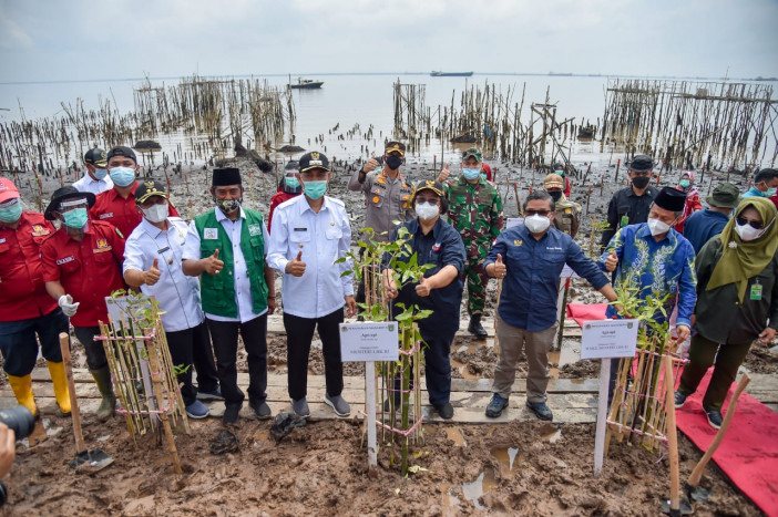 Menteri LHK Tanam Mangrove di Dumai Sebagai Bagian PEN di Riau