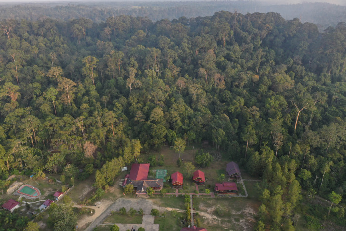 TFA Dorong Aksi Menuju Masa Depan Hutan Tropis Lebih Baik
