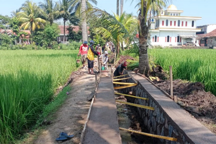 Bangun Irigasi Tersier Tingkatkan Produksi Hasil Sawah