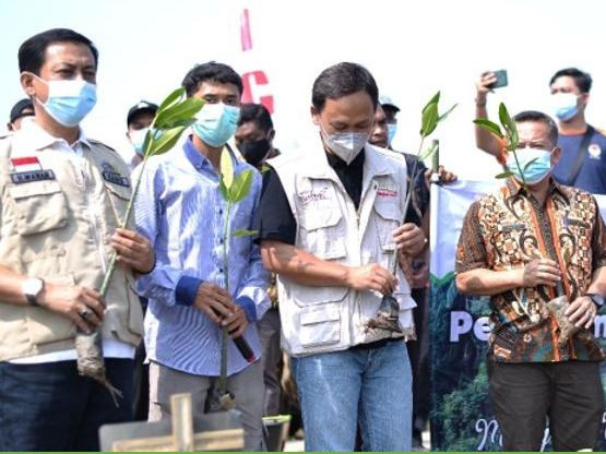 Jaga Lingkungan, KIIC Tanam 1.000 Pohon Bakau di Pantai Muarabaru