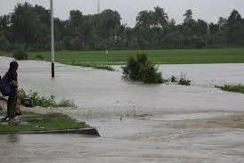 Banjir Rendam Kabupaten Aceh Selatan dan Aceh Jaya