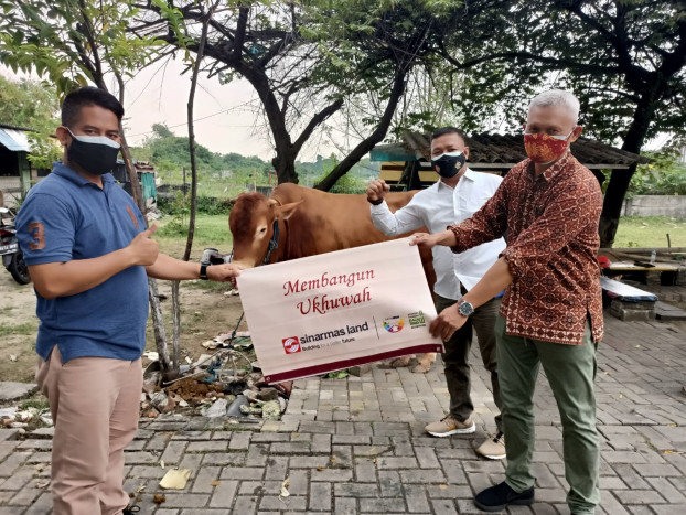 Sambut Iduladha, Yayasan Muslim Sinar Mas Land Sumbangkan Ratusan Hewan Kurban ke Masjid Musala