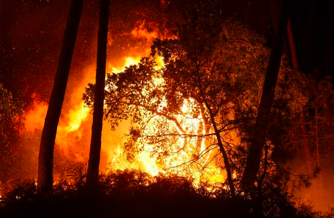 Kebakaran Hutan Rusak Ribuan Hektar Lahan di Bolivia
