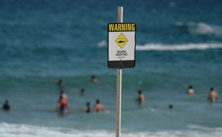 Peselancar Tewas Diserang Hiu di Pantai Australia