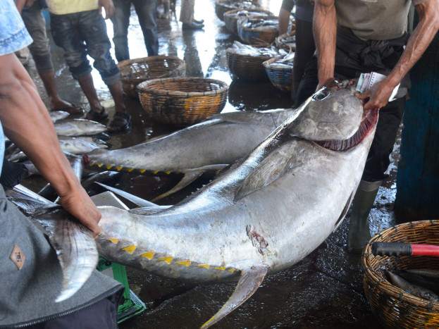 Didukung Kemendag, Madeinindonesia.com Ekspor Ikan Tuna ke Vietnam
