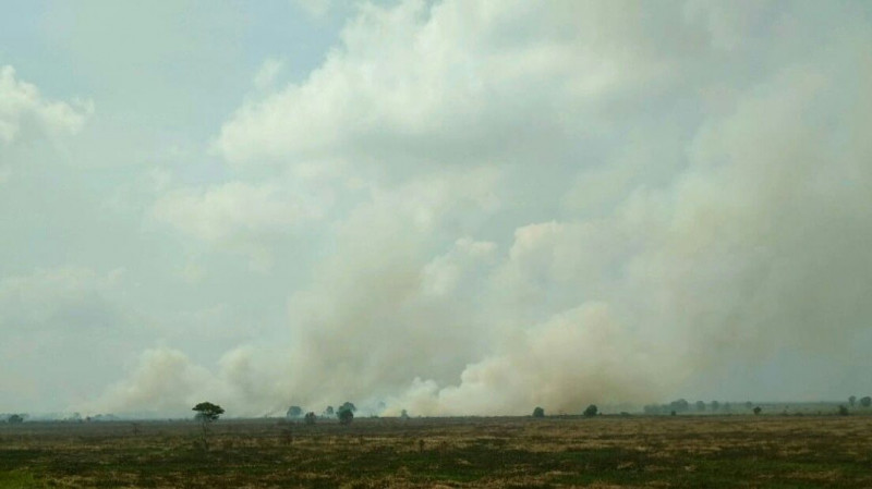 BMKG Laporkan Ada 15 Titik Panas di Pulau Timor dan Alor