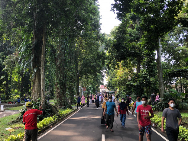 Soal Wisata Malam GLOW, BRIN Pastikan 5 Fungsi Kebun Raya Bogor Berfungsi Seimbang 