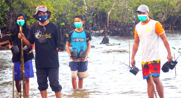 Cegah Abrasi Siswa SMP dan SMA di Pulau Obi Bacan Tanam Ribuan Mangrove