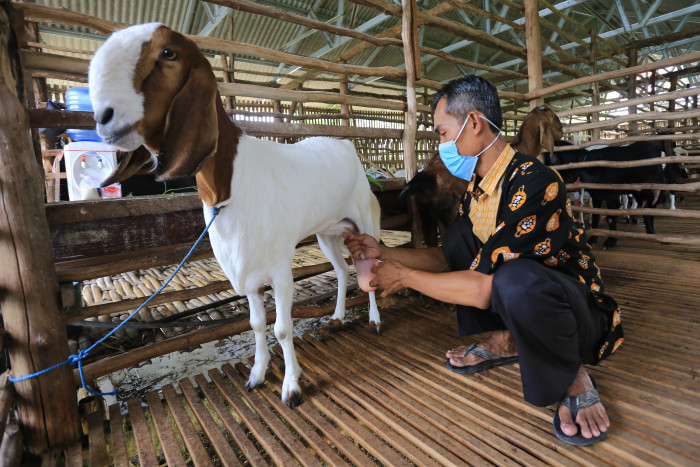 Segudang Manfaat Dihadirkan SR12 Herbal di Gomilku