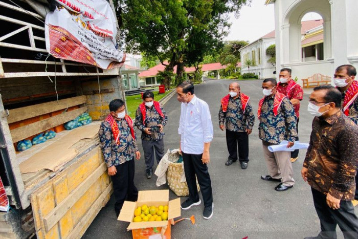 Tiga ton Jeruk dari Karo untuk Menarik Perhatian Presiden Jokowi