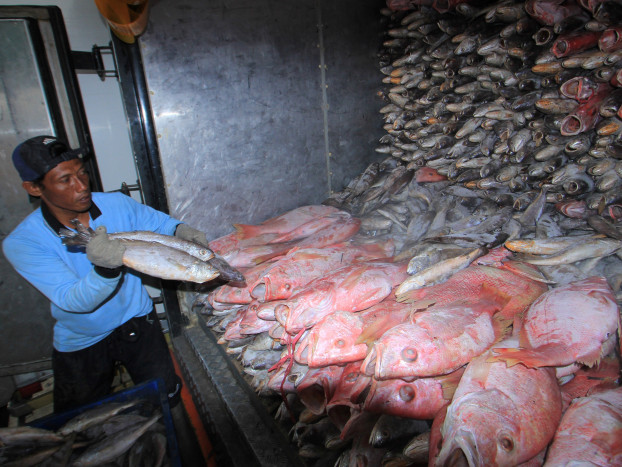 Jaga Kualitas Ikan, Cold Storage 300 Ton Dibangun di Karangsong