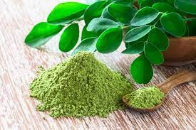 Manfaat Moringa Oleifera untuk Kesehatan