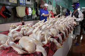 Harga Ayam, Pulsa, dan Mobil Sumbang Inflasi di Sumatra Barat