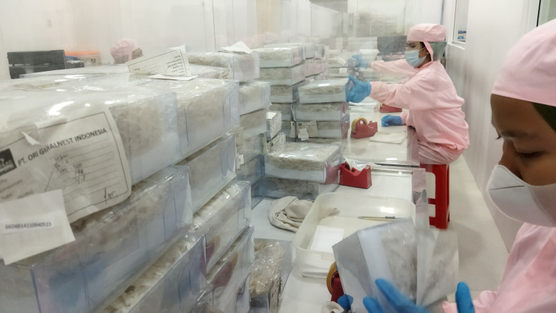 4 Perusahaan Sarang Walet Sumut Bersiap Masuk Tiongkok