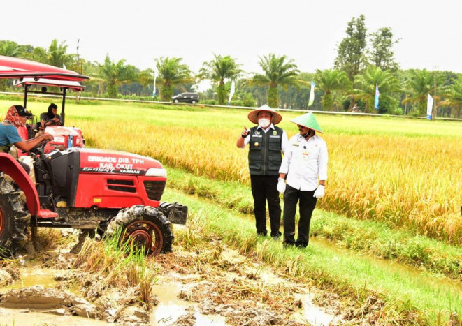 Mentan SYL Dorong Petani Bone Tingkatkan Produksi Padi dengan IP 400