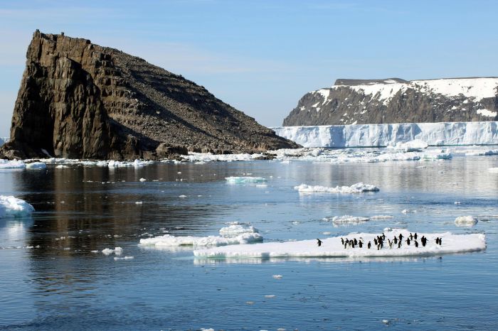 Polusi Karbon Hitam yang Ditinggalkan Turis dan Peneliti Percepat Mencairnya Salju di Antartika
