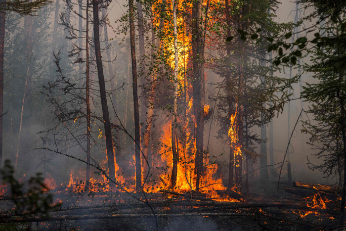 Ini yang Menyebabkan Kebakaran Hutan Percepat Mencairnya Es Kutub Utara