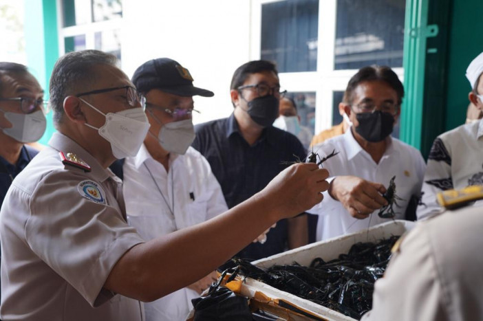 KKP Gelontorkan Rp37,53 M untuk Peningkatan Perikanan Riau