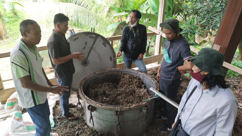 Harga Nilam Melorot Semangat Petani Parigi Moutong Merosot