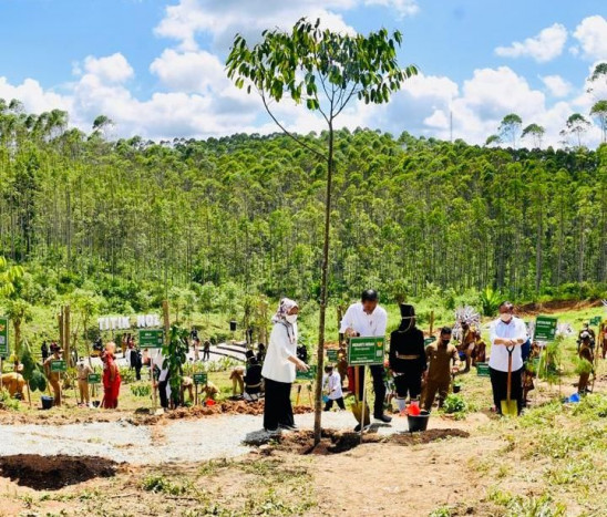 Presiden Tegaskan Pembangunan IKN Diawali dengan Rehabilitasi Lahan