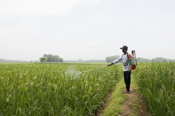 Mahakam Grup Terus Kembangkan Inovasi Pestisida untuk Bantu Petani di Masa Pandemi 