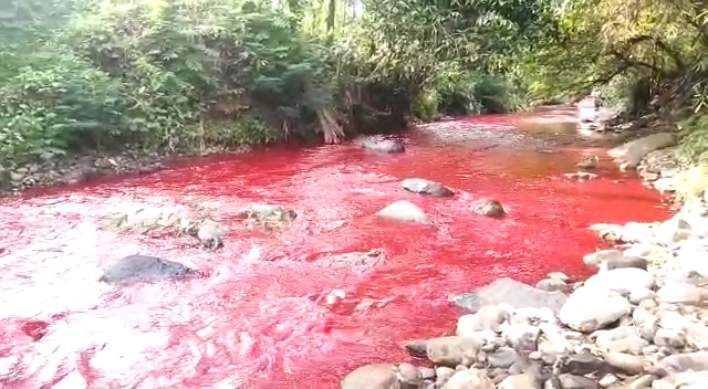 Air Sungai Cimeta di Bandung Barat Berwarna Merah