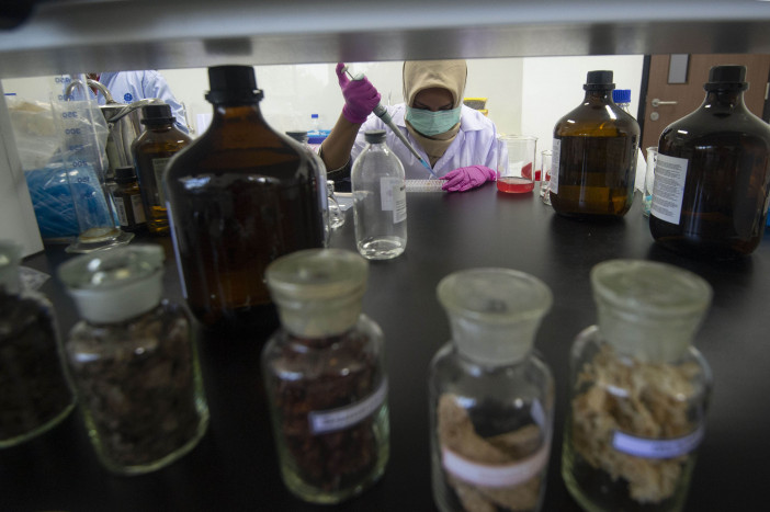 Indonesia Diminta Lebih Banyak Lakukan Riset Pengembangan Obat Herbal