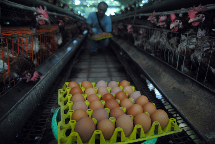 Mengonsumsi Telur Mentah Ternyata Berdampak Buruk bagi Kesehatan