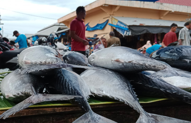 Nelayan Masih Libur Lebaran Harga Ikan Segar di Aceh Tinggi