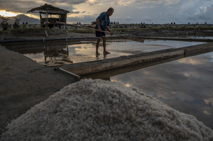 Petani Garam Di Indramayu Tidak Bisa Nikmati Kenaikkan Harga Garam 