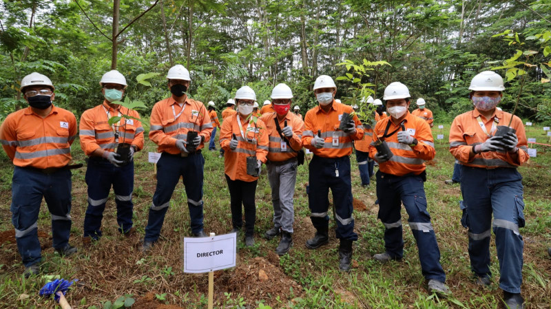 Peringati Hari Lingkungan Hidup, Tambang Emas Martabe Tanam Ribuan Pohon di Tapanuli Selatan