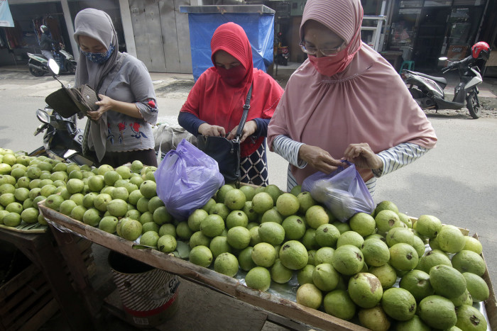 Jus Jambu Biji Ampuh Naikkan Trombosit Saat DBD, Fakta atau Mitos?