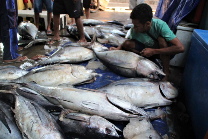 Harga Tuna di Pasar Kota Kupang Naik