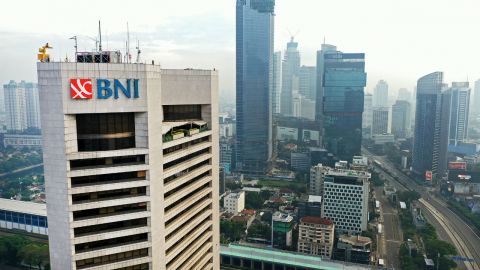 BNI Agresif di Pembiayaan Hijau ESDM: Ini Sangat Baik 