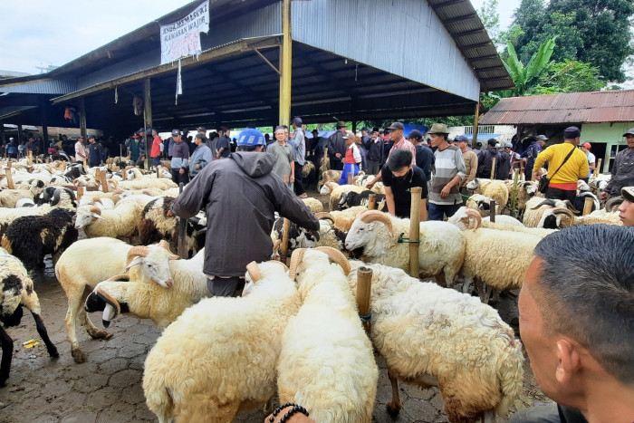 Pasar Hewan di Temanggung Ditutup Sementara Mulai Hari Ini