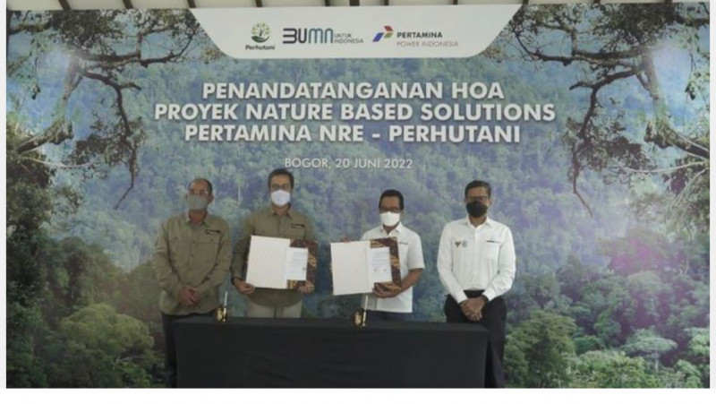 Proyek NBS Dua BUMN Hasilkan Kredit Karbon 11,6 Juta Ton CO2 Per Tahun 