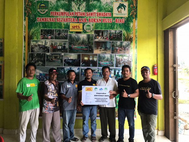 Petani Sawit Swadaya Anggota SPKS di Riau Dapat Sertifikasi RSPO 