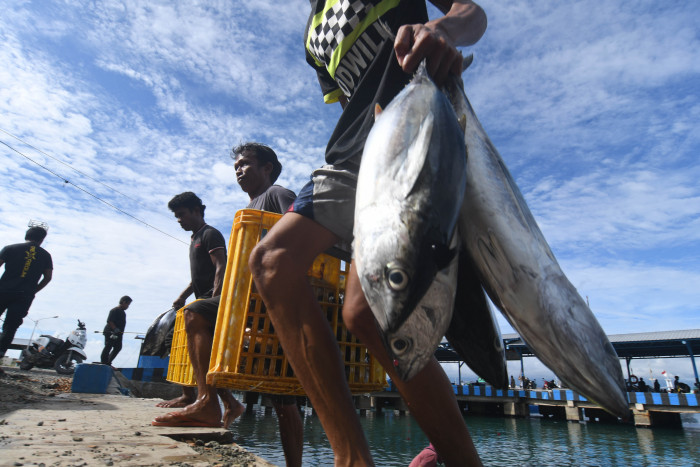 Komisi IV DPR RI Dorong Optimalisasi Sektor Perikanan di Donggala