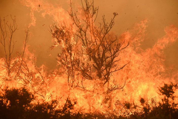 Gelombang Panas Masih Membakar Hutan Eropa