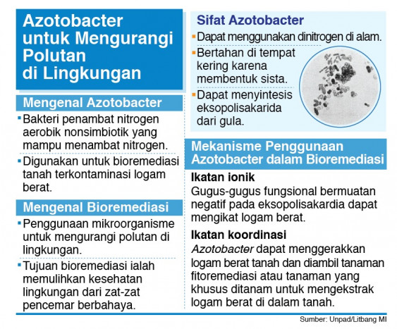 Azotobacter si Bakteri Baik