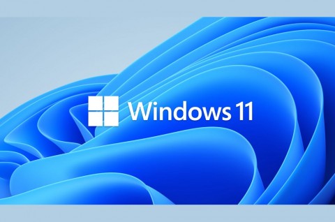 Microsoft Uji Bar Pencarian di Windows 11