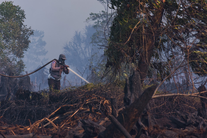 Puluhan Hektare Lahan di Rokan Hilir Terbakar