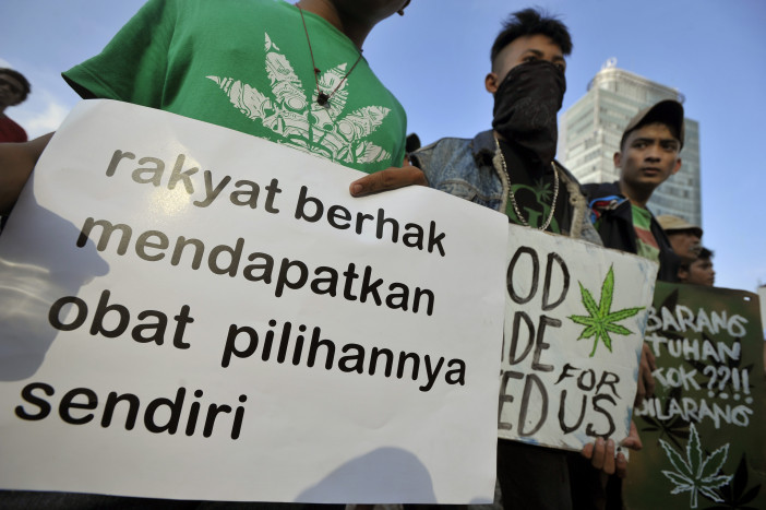 IDI Tegaskan Penggunaan Ganja Medis Masih Perlu Kajian Mendalam