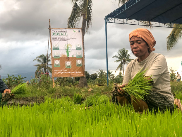 Pandawa Agri Dorong Pertanian Berkelanjutan