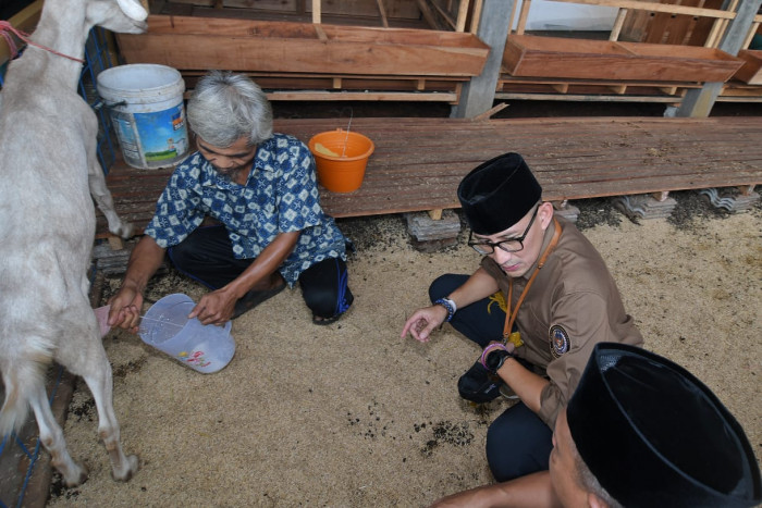 Sandiaga Berikan Bibit Kambing Sokong Kemandirian Ekonomi Pesantren