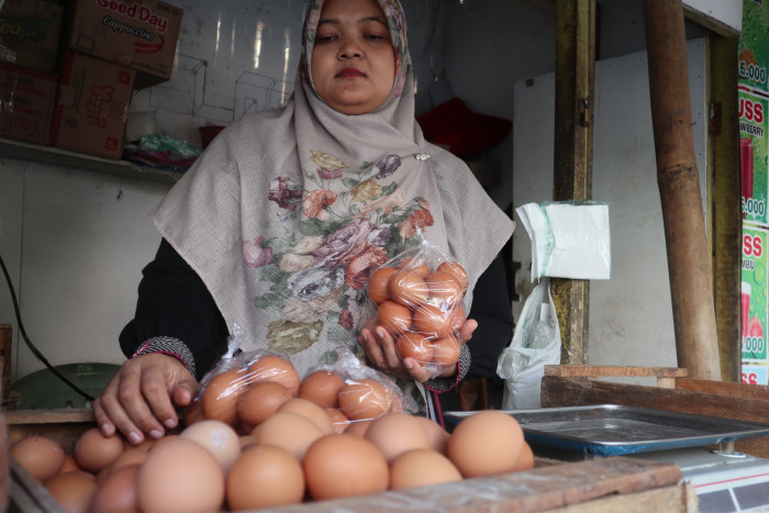 Harga Telur di Pantura Jateng Berangsur Turun
