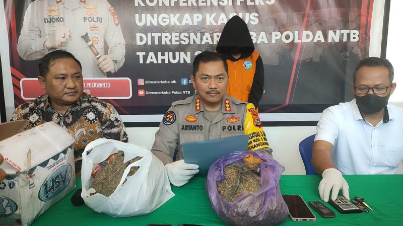 Polda NTB Tangkap Pasutri Terima Paket Ganja 1,7 Kg dari Lampung