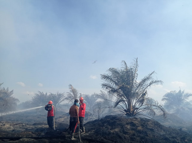 Ratusan Titik Panas Bertebaran di Babel