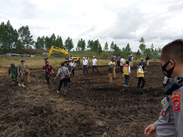 5 Kabupaten Awali Pembangunan Kawasan Pertanian Terpadu di Sumut